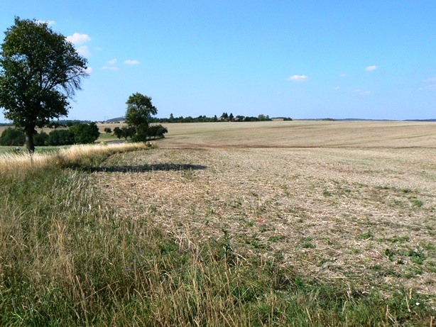 Podíl 1/10 na zemědělských pozemcích Slabce POZOR - TATO DRAŽBA JE REALIZOVÁNA NA www.prodej-drazbou.cz