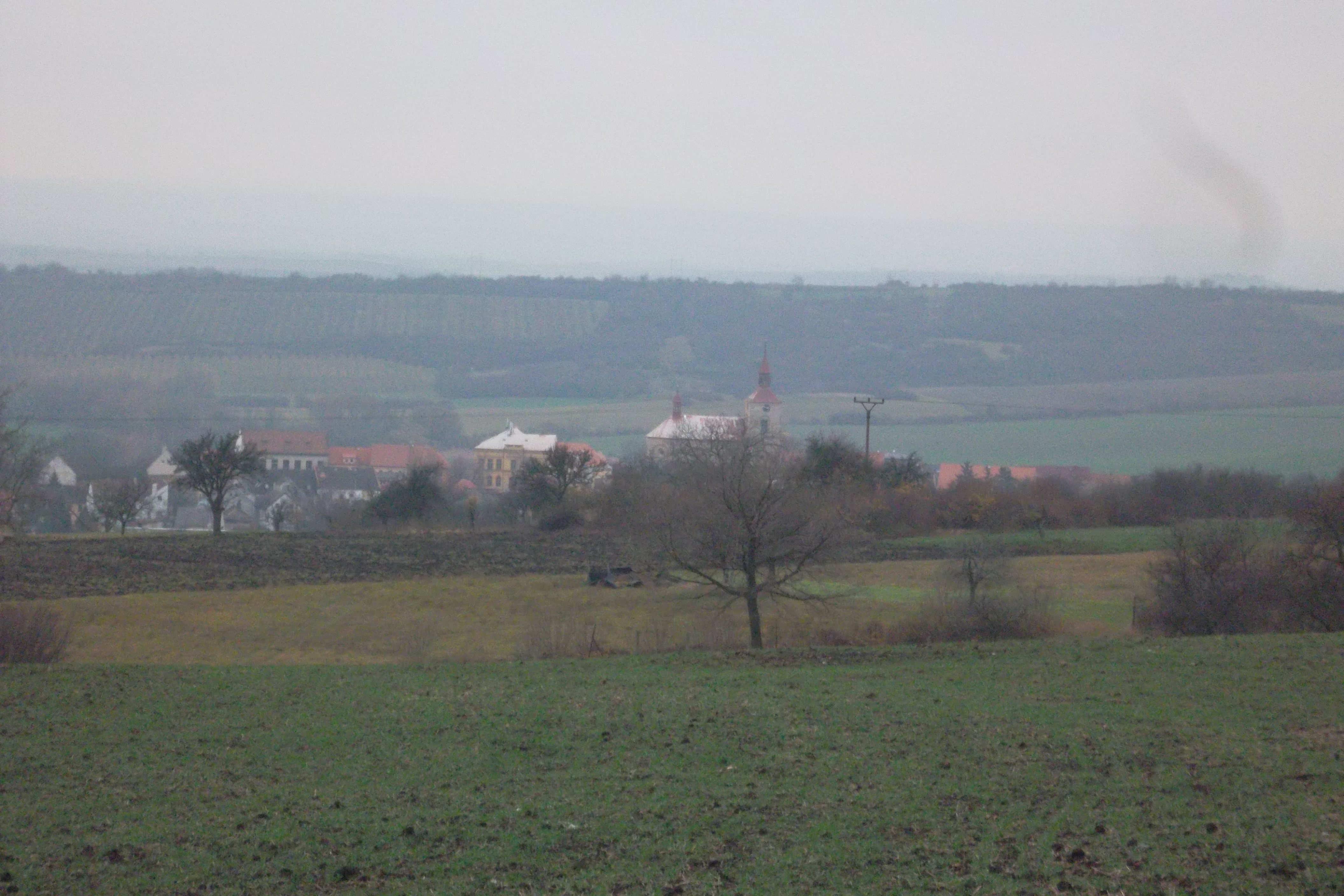 Pozemky Jenčice - podíl 1/2