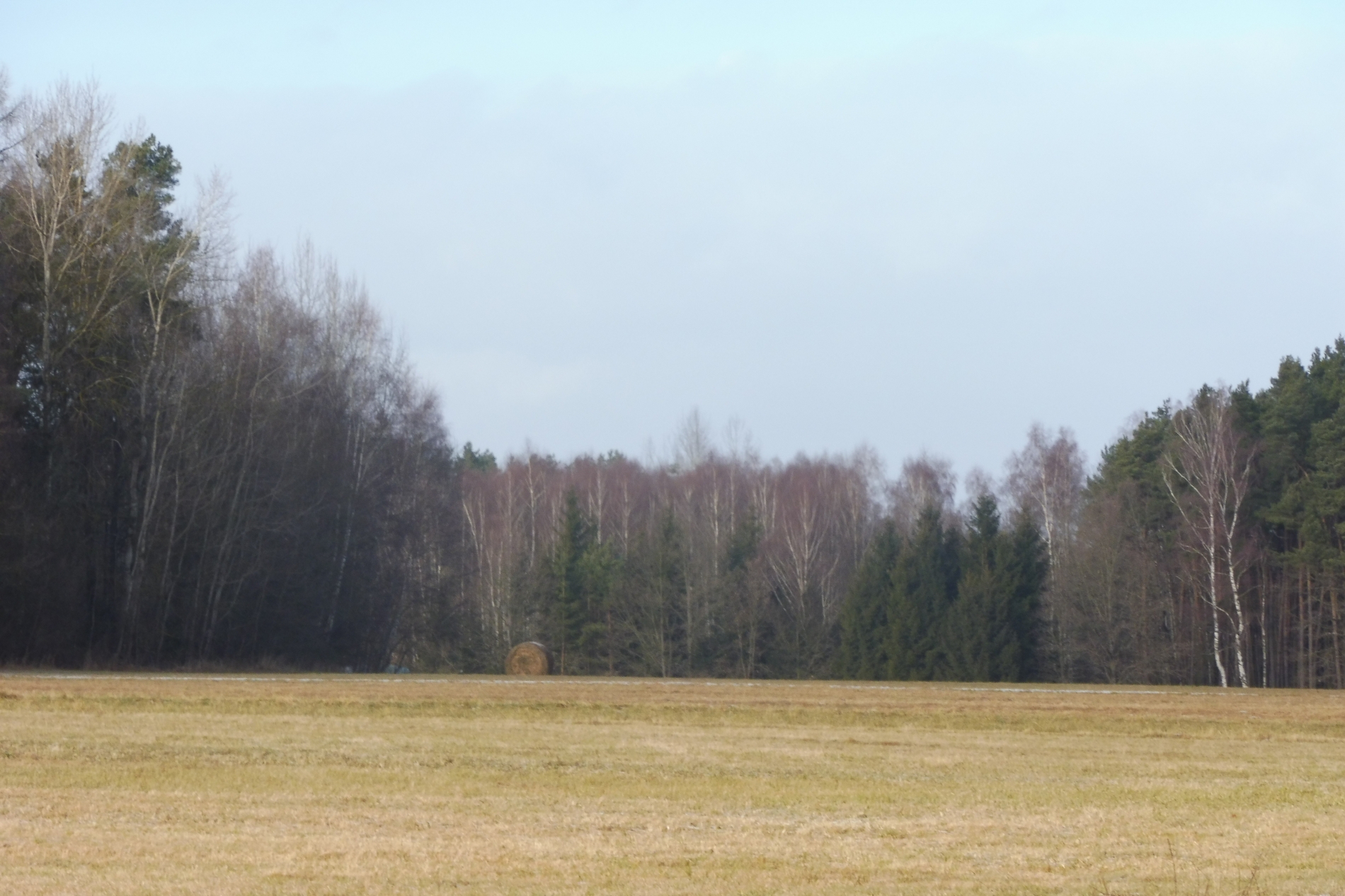 Podíly na pozemcích Kardašova Řečice, Suchdol nad Lužnicí, Hranice, Dvory nad Lužnicí